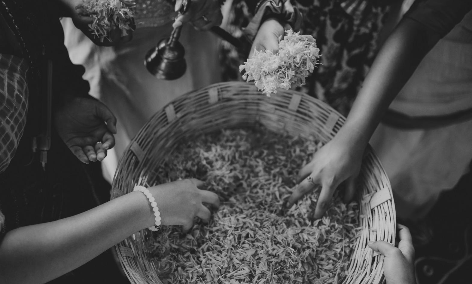 Menu tasting session with multiple course presentations